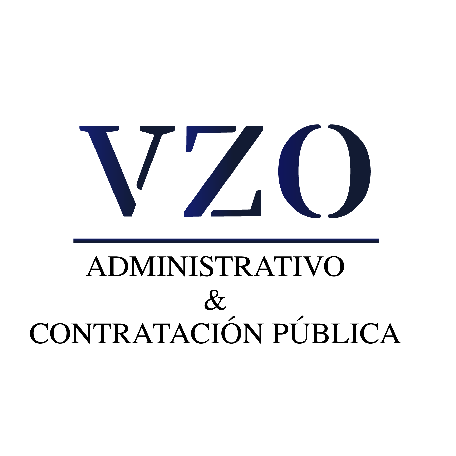 Logo VZO